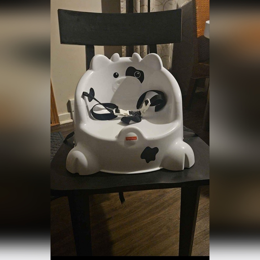 Booster Seat